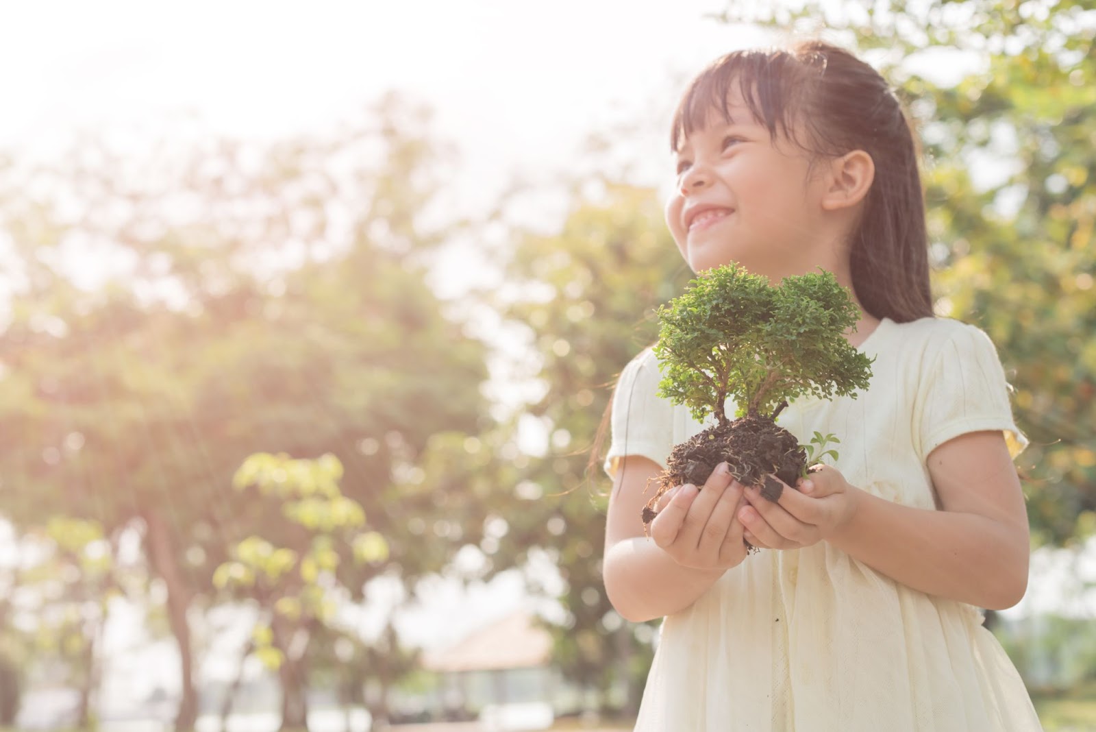 春の緑を背景に、若い植物を手にする子供。環境コンセプト